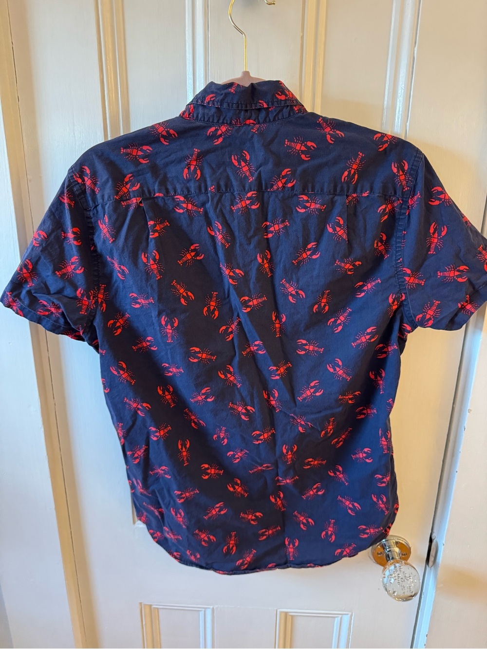 JCrew button down - Picture 2 of 8